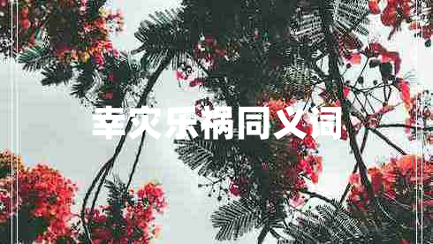 幸災樂(lè )禍同義詞
