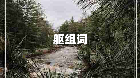 軀組詞