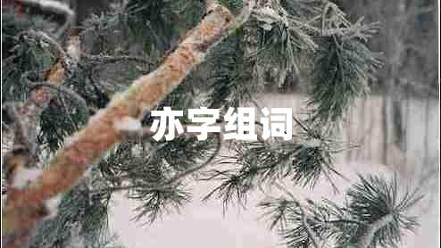 亦字組詞