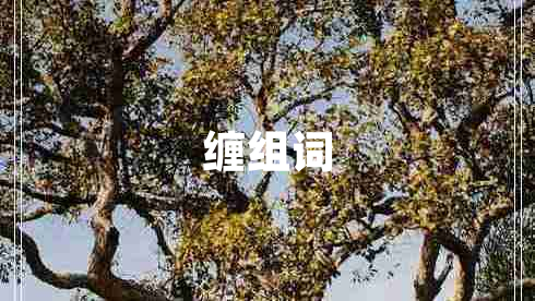 纏組詞