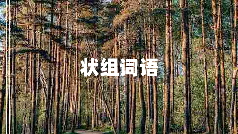 狀組詞語(yǔ)