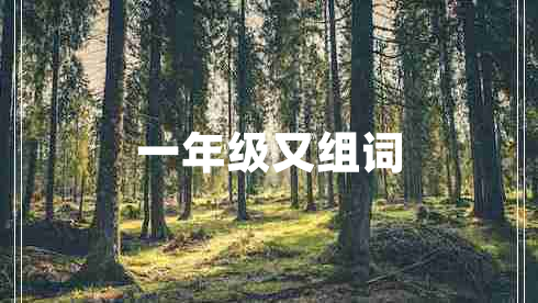 一年級又組詞