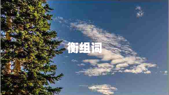 衡組詞
