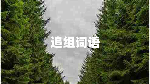 追組詞語(yǔ)
