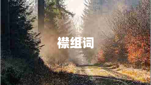 襟組詞