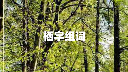 棲字組詞
