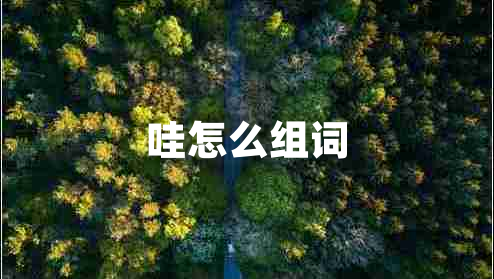 哇怎么組詞