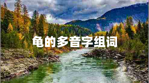 龜的多音字組詞