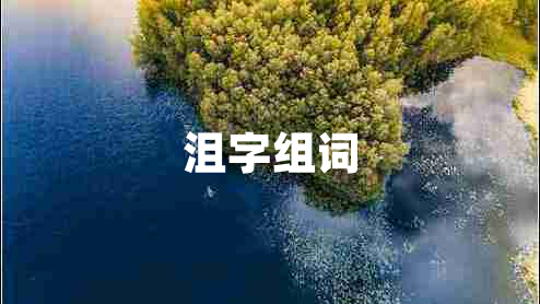 沮字組詞