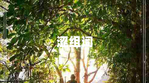 澀組詞