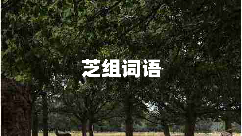 芝組詞語(yǔ)
