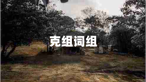 克組詞組