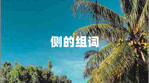 側的組詞