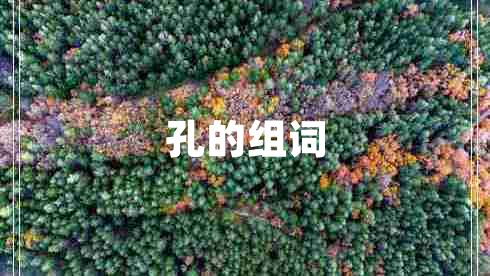 孔的組詞