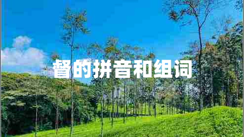 督的拼音和組詞