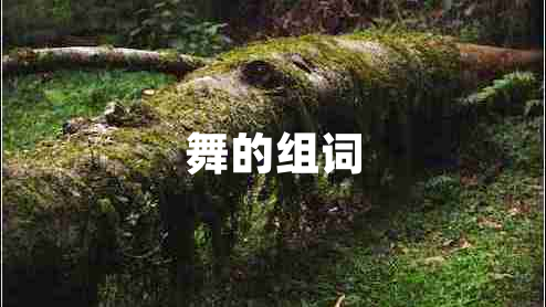 舞的組詞