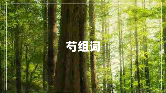 芍組詞