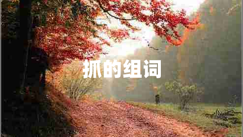 抓的組詞