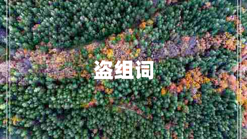盜組詞