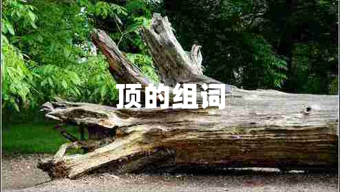 頂的組詞