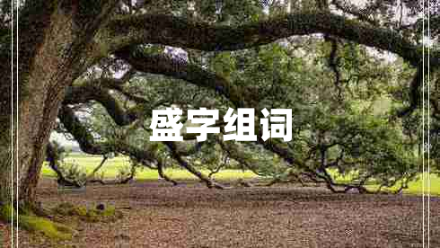 盛字組詞