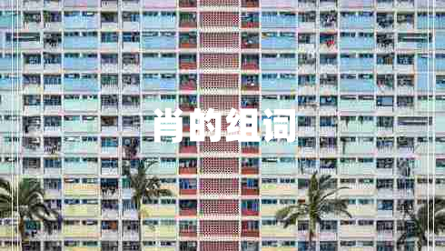 肖的組詞
