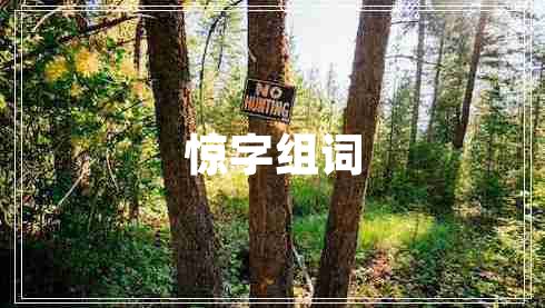 驚字組詞