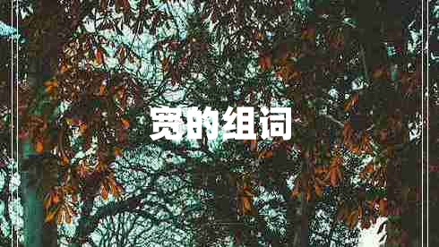 寬的組詞