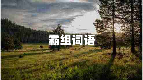 霸組詞語(yǔ)