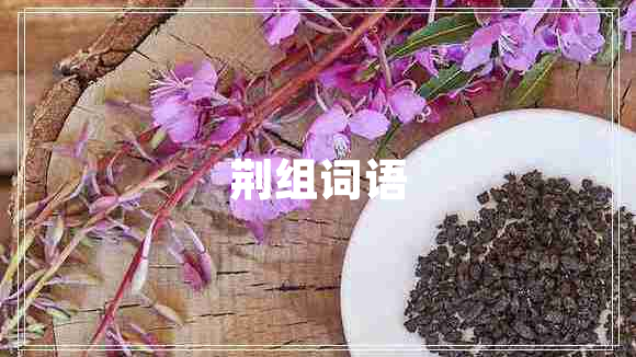 荊組詞語(yǔ)