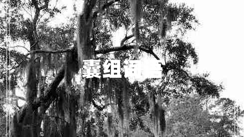 囊組詞語