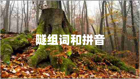 隧組詞和拼音