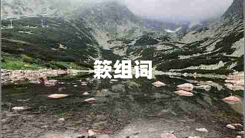 簌組詞