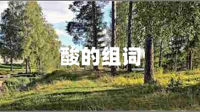 酸的組詞