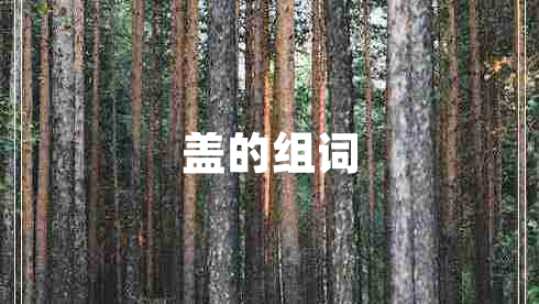 蓋的組詞