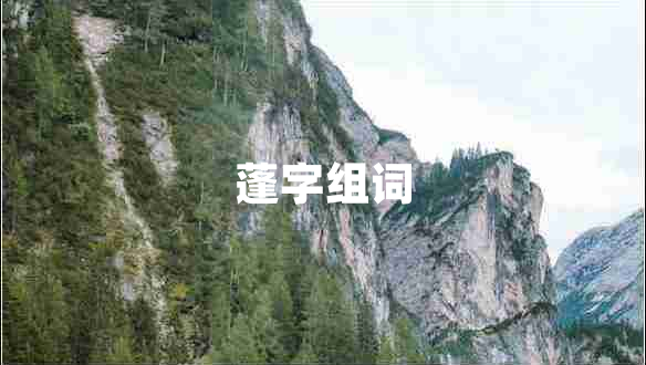 蓬字組詞