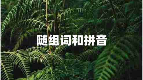 隨組詞和拼音