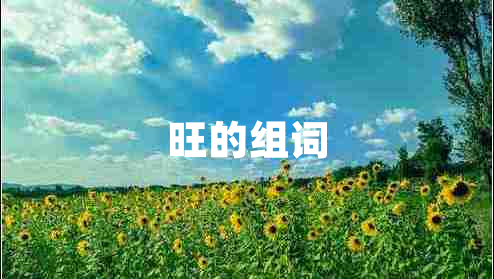 旺的組詞