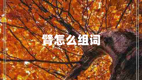 臂怎么組詞
