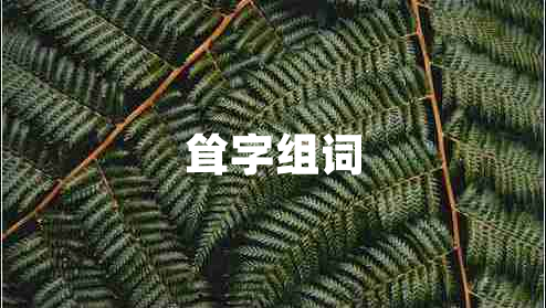 聳字組詞