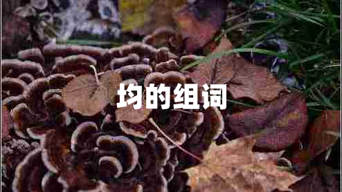 均的組詞