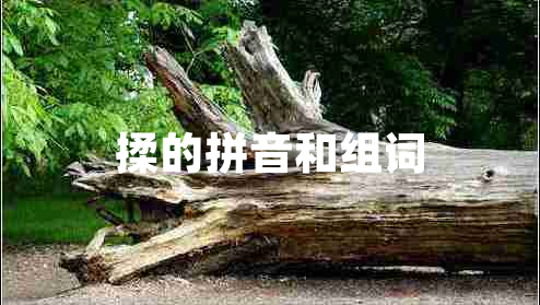 揉的拼音和組詞