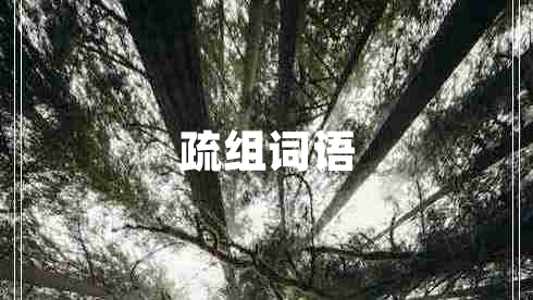 疏組詞語