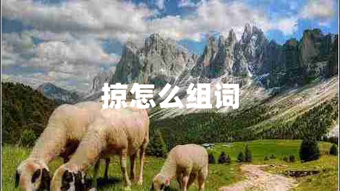 掠怎么組詞