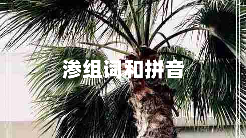 滲組詞和拼音