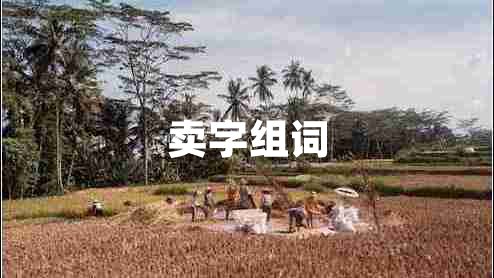 賣(mài)字組詞