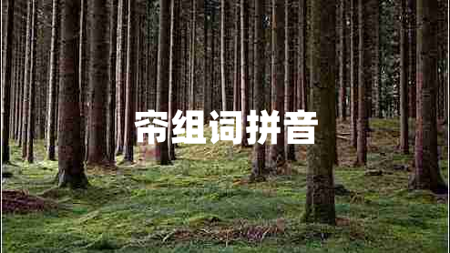 簾組詞拼音