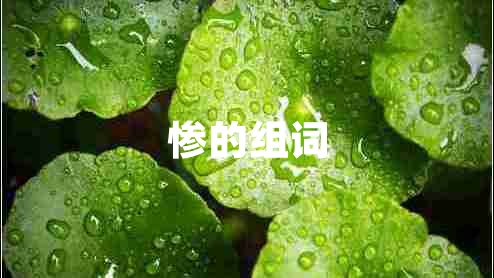 慘的組詞