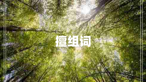 擅組詞