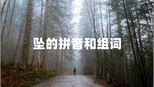 墜的拼音和組詞